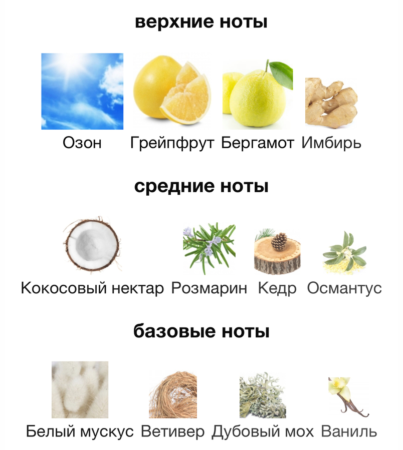 Пирамида D&G