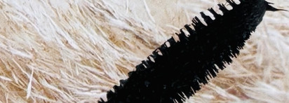 Несколько взмахов туши для ресниц L'Oreal Paris Voluminous Carbon Black и ресницы выглядят прекрасно