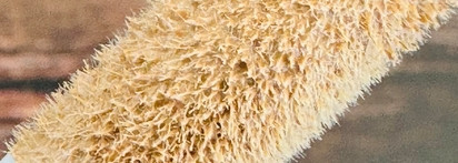 Ровный тон и деликатное сияние с Catrice Soft Glam Filter Fluid 020