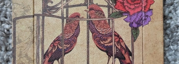 Тени как образ жизни. 19 палеток – это только начало?