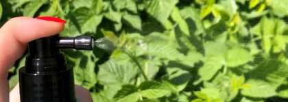 Корейская Новинка! Тоник для ухода за кожей головы Holika Holika с маслом чайного дерева Tea Tree Scalp Care