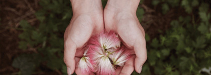 Mamonde знакомство с бестселлером