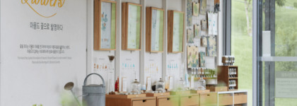 Mamonde знакомство с бестселлером