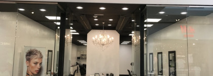 Born and Bred in Britain - Toni&Guy из Англии с любовью. Гид по продукции