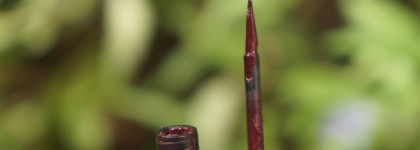 Бархатный сентябрь на двоих. Вечерний образ Drama Queen