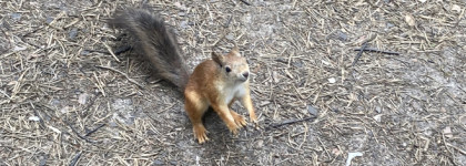 Мини-косметичка в дорогу, макияж-пятиминутка и путешествие на велосипедах по северным лесам