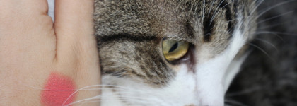 Персиковая и летняя: помада Max Factor Colour Elixir Velvet Mattes 10 Sunkiss