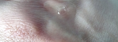 Сыворотка Bielenda Face Serum Green Tea: надену всё лучшее сразу