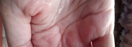 Средства, которые помогли мне пережить лето