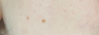 The Body Shop Fresh Plumping Mask British Rose