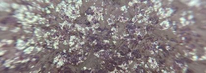 Обзор спаркла от Bernovich в 02 и 04 оттенке + много фото