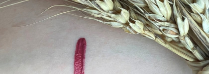 Корейские "чернила" для губ: Peripera Ink Velvet, 27 Strawberry Nude