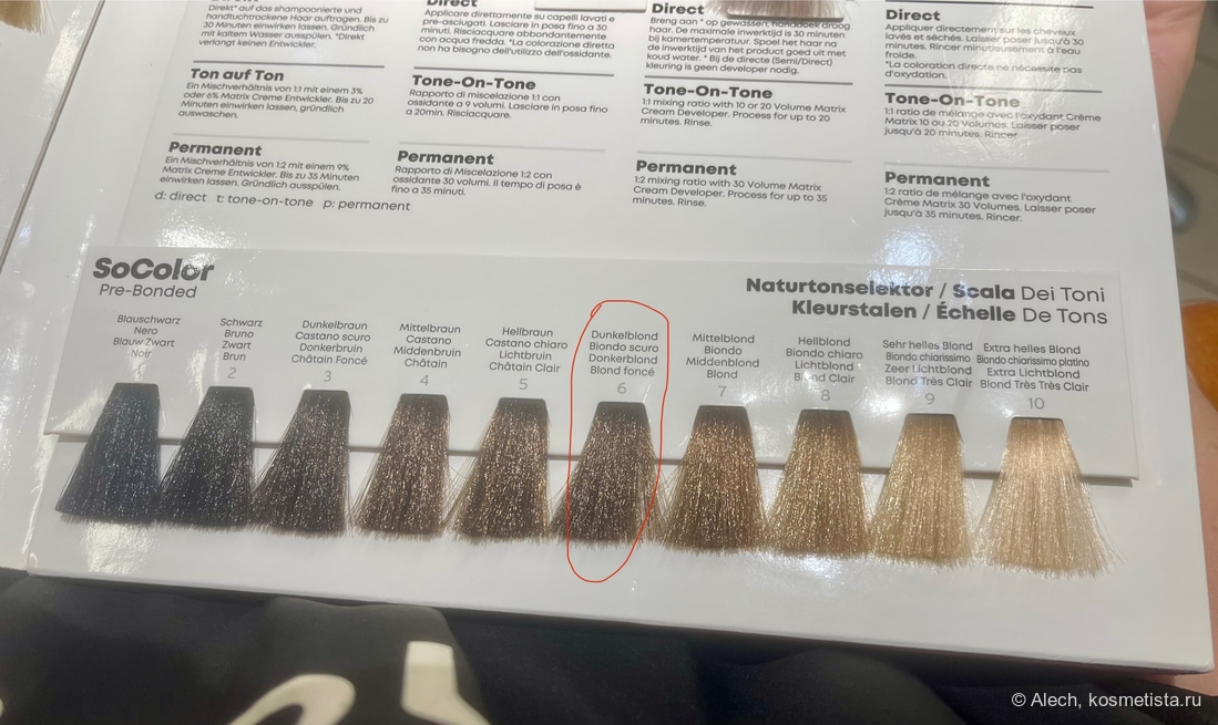 Вот этот оттенок "Dark Blond" она мне предложила, я согласилась