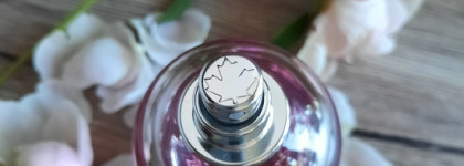 Dsquared2 Wood for Her edt. Несерьёзная серьёзность