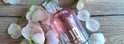 Dsquared2 Wood for Her edt. Несерьёзная серьёзность