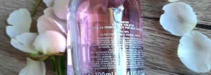 Dsquared2 Wood for Her edt. Несерьёзная серьёзность