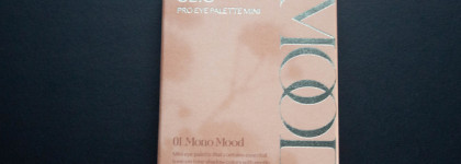 Тёплая база: Clio pro eye palette mini в оттенке 01 Mono mood