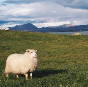 Фото автора отзывов на Косметисте