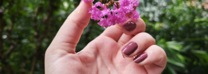 Pupa lasting color extreme Dark Mauve