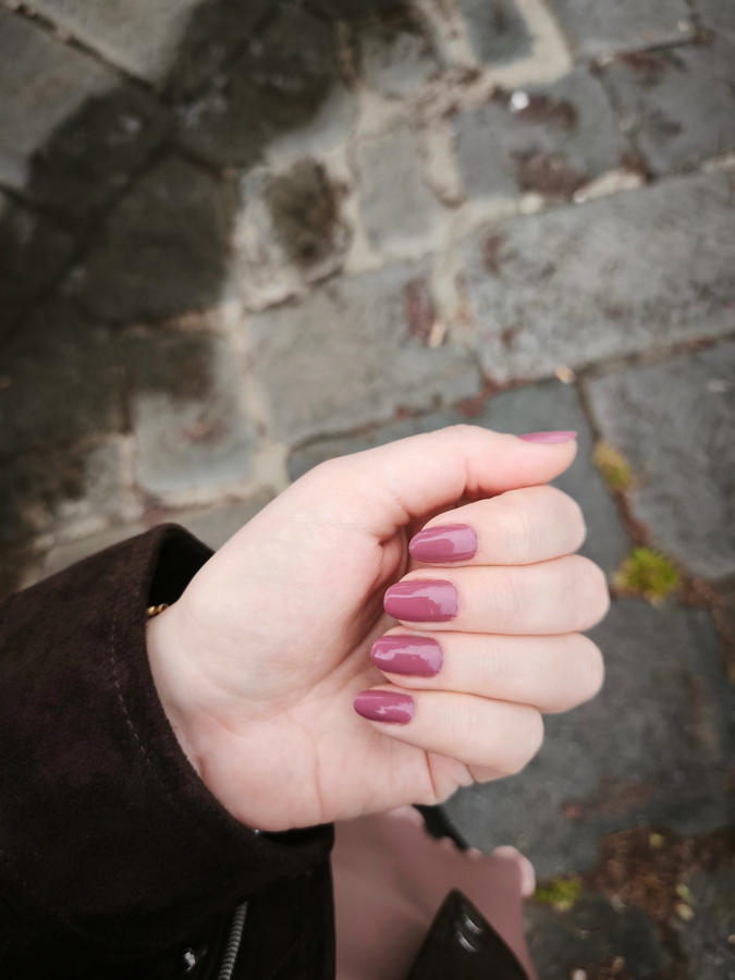 Dark mauve Pupa
