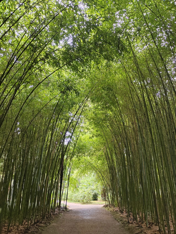 Уголок Японии