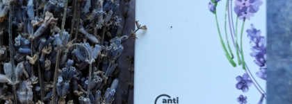 Мой любимый увлажняющий крем для рук с маслом лаванды и гиалуроновой кислотой Крымская роза