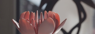 Парфюм Blumarine Rosa Blumarine