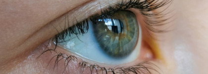 А разговоров то было...Тушь Maxfactor False Lash Effect Deep Raven Black