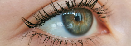 А разговоров то было...Тушь Maxfactor False Lash Effect Deep Raven Black