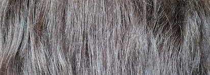 Мечты сбываются: крем-уход L'Oreal Paris Elseve Нет Ножницам Длина мечты