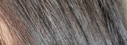 Мечты сбываются: крем-уход L'Oreal Paris Elseve Нет Ножницам Длина мечты