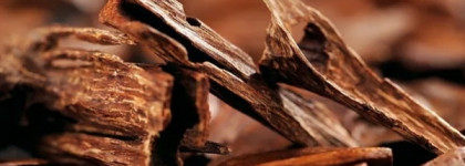 Avon FarAway Splendoria: сливочно-древесный аромат на осень