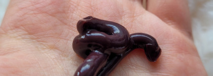 Поддержание цвета+уход | Оттеночный кондиционер для брюнеток Tefia My point color Care Black Coffee Conditioner