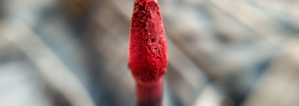 Помада для поцелуев? Жидкая матовая помада Pupa I'm Loveproof в оттенке 007 "Яркая Фуксия"