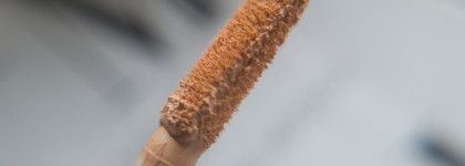 Сначала он, а потом все остальные! Лучший консилер для синяков: Relouis Pro Full Cover Corrector #50 Peach