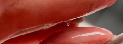 Лучшее, что случалось с моей жирной головой! Шампунь для интенсивного очищения Urban Nature Give me a balance Shampoo