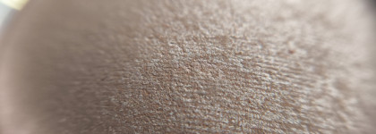 Ложка дегтя в копилку восхищений. Запечённый хайлайтер Elian Russia White Nights