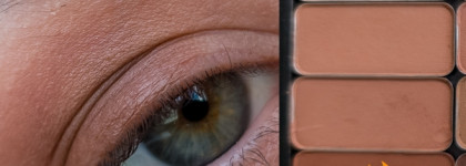 Matte Day: матовый коричневый смоки с помощью палетки от A.voevodina