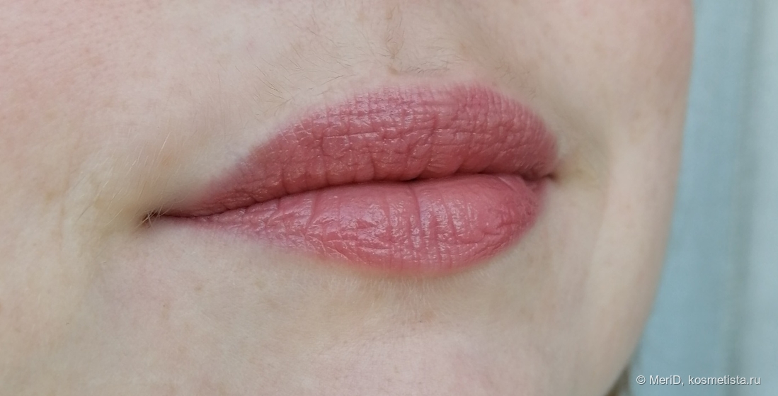 Catrice Power Plumping Gel Lipstick в оттенке 110 фото на губах
