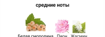 Moschino Toy 2. Мандарины, сорванные свежим летним утром