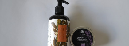 Пустые банки весны 2024