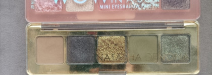 Лучшая осенняя палетка в моем рейтинге - Catrice Wow in box