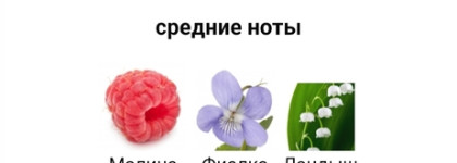 Моё парфюмерное "Я" этой весной - Tous Moments Love