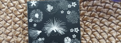 Тени для век Rouge Bunny Rouge Long-lasting Duo Eye Shadow 037 в палитре месяца