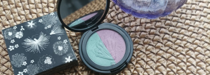 Тени для век Rouge Bunny Rouge Long-lasting Duo Eye Shadow 037 в палитре месяца