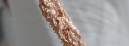 Как устроить себе бриллиантовую россыпь на глазах всего за 275 рублей. Stellary Diamonds Liquid Eyeshadow