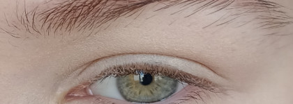 Образ Графини Элизабет из Американской Истории Ужасов