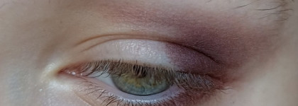 Очень лёгкий макияж глаз в оттенках палитры фильма "Отель Гранд Будапешт". Фото в полном образе