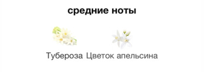 Зажигательно-сладкий аромат итальянской ночи! Сливочный торт с ежевикой. Salvatore Ferragamo Signorina Misteriosa