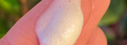 Dr.Ceuracle Pro-balance Creamy Cleansing Foam